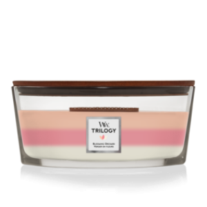 Blooming Orchard - Trilogy Ellipse
