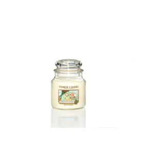 Christmas Cookie Classic - Medium