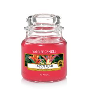 Tropical Jungle Classic - Small