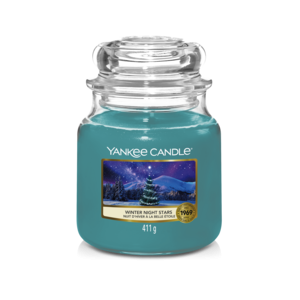 Winter Night Stars - Medium