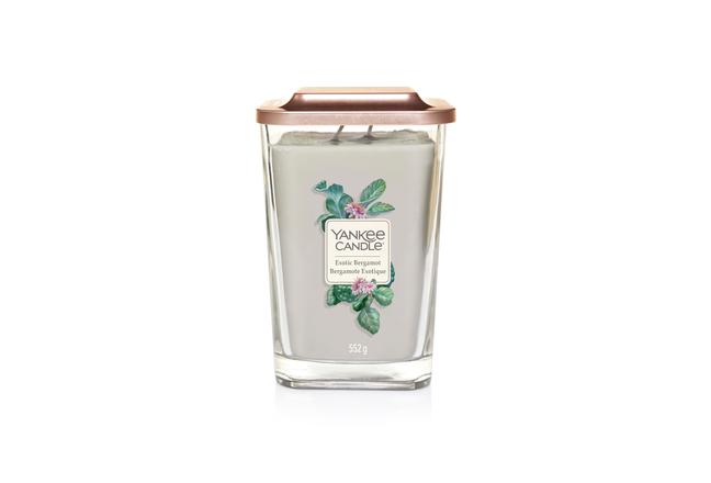 Exotic Bergamot Elevation - Large