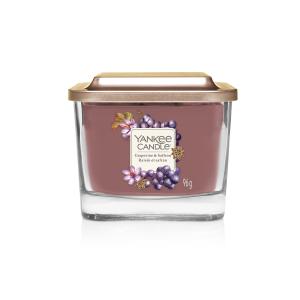 Grapevine & Saffron Elevation - Small