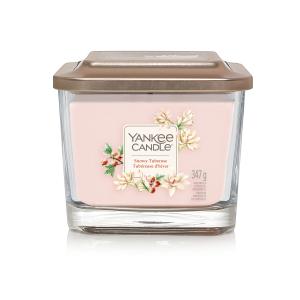 Snowy Tuberose Elevation - Medium