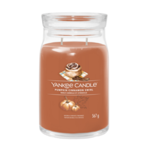  Pumpkin Cinnamon Swirl - Medium