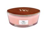 Sueded Sandalwood - Petite 