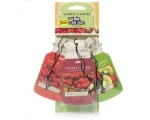 Fruitalicious - Car Jar Variety 3tk.