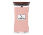 Wild Berry & Beets - Mini