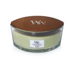 Black Plum Cognac - Wax Melt