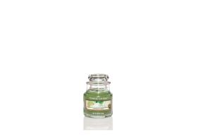 Midnight Jasmine - Diffuser 120ml