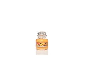 Sparkling Cinnamon - teeküünlad 12tk.