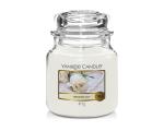 Winter Night Stars - Medium