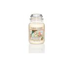 Tropical Starfruit Classic - Small
