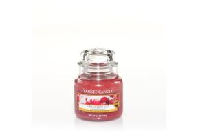 Cranberry Ice Classic - Small