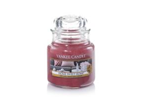 Midnight Jasmine - Single Car Jar