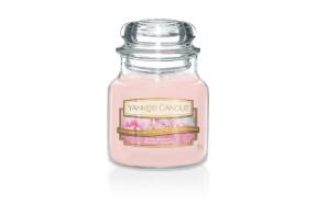 Coconut Rice Cream Classic - Small