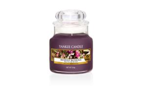Fluffy Towels - Single Car Jar