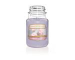 Clean Cotton - Diffuser 120ml