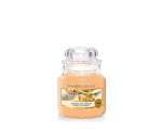 Mango Ice Cream Classic - Small
