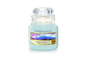 Snow Globe Wonderland - Small