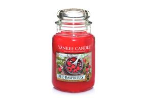 Red Raspberry Classic - Large