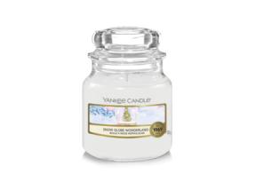 Snow Globe Wonderland - Small