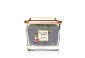 Fig & Clove Elevation - Medium