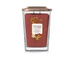 Cinnamon Bark & Cumin Elevation - Large