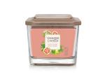Jasmine & Pomelo Elevation - Medium