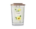 Blooming Cotton Flower Elevation - Large