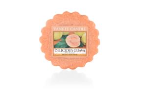 Sun-Drenched Apricot Rose Classic - Small