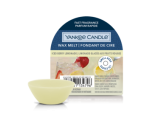 Iced Berry Lemonade - vaha