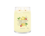 White Spruce & Grapefruit - Large