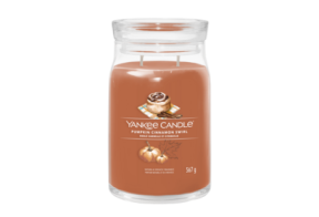  Pumpkin Cinnamon Swirl - Medium