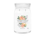 White Spruce & Grapefruit - Large