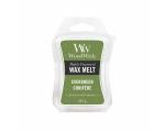 Evergreen - Wax Melt